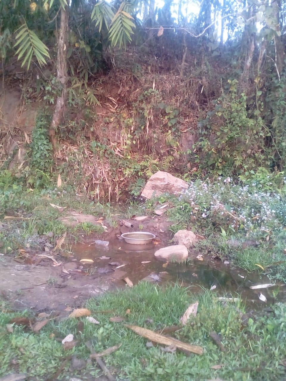 C:\Users\Lavinia Pde\Downloads\WhatsApp Image 2023-03-01 at 13.27.15.jpeg